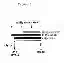 Fig. 72 - AGENTS FOR PREVENTING AND TREATING DISORDERS INVOLVING MODULATION OF THE RYANODINE RECEPTORS