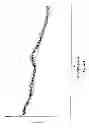 Fig. 02 - LORCASERIN HYDROCHLORIDE