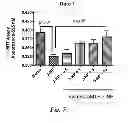 Fig. 08 - Compounds and methods of use thereof for treating neurodegenerative disorders