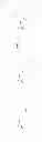 Fig. 43 - Oxime-substituted-quinoxaline-type piperidine compounds as ORL-1 modulators