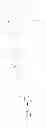 Fig. 433 - Oxime-substituted-quinoxaline-type piperidine compounds as ORL-1 modulators