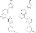 Fig. 215 - Azole compounds as PIM inhibitors