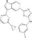 Fig. 312 - Azole compounds as PIM inhibitors