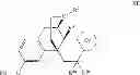 Fig. 24 - 7,8-cyclicmorphinan analogs