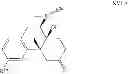 Fig. 29 - 7,8-cyclicmorphinan analogs