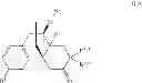 Fig. 07 - Substituted morphinans and the use thereof