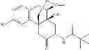 Fig. 124 - Substituted morphinans and the use thereof