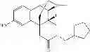 Fig. 131 - Substituted morphinans and the use thereof