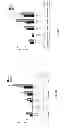 Fig. 04 - Methods and Compositions Comprising AMPK Activator (Metformin/Troglitazone) for the Treatment of Myotonic Dystrophy Type 1 (DM1)