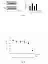 Fig. 06 - Methods and Compositions Comprising AMPK Activator (Metformin/Troglitazone) for the Treatment of Myotonic Dystrophy Type 1 (DM1)