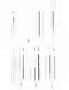 Fig. 09 - Methods and Compositions Comprising AMPK Activator (Metformin/Troglitazone) for the Treatment of Myotonic Dystrophy Type 1 (DM1)