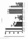 Fig. 04 - Methods for treating diseases using isoindoline compounds