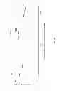 Fig. 07 - Connective tissue growth factor antisense oligonucleotides