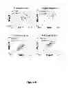 Fig. 07 - Mitochondrial ribosomal proteins as aging regulators