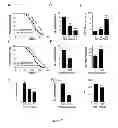 Fig. 08 - Mitochondrial ribosomal proteins as aging regulators