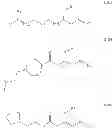 Fig. 06 - Amino lipids, their synthesis and uses thereof