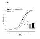 Fig. 07 - THERAPEUTIC POLYNUCLEOTIDES, COMPOSITIONS, AND METHODS
