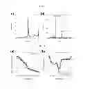 Fig. 07 - Multi-hierarchical self-assembly of a collagen mimetic peptide