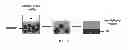 Fig. 02 - Method for destabilizing a Pickering emulsion