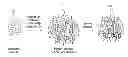 Fig. 01 - Corrosion-inhibiting microgels and non-chromated primer compositions incorporating the same