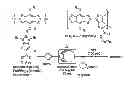 Fig. 01 - PROCESS FOR THE SYNTHESIS OF CONJUGATED POLYMERS
