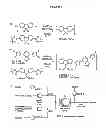 Fig. 02 - PROCESS FOR THE SYNTHESIS OF CONJUGATED POLYMERS