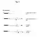 Fig. 02 - Solid-phase carrier for aminated oligonucleotide
