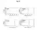 Fig. 03 - Solid-phase carrier for aminated oligonucleotide