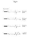 Fig. 09 - Solid-phase carrier for aminated oligonucleotide