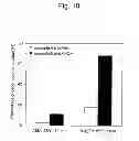 Fig. 11 - Solid-phase carrier for aminated oligonucleotide
