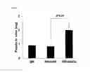 Fig. 05 - Bilirubin Excretion Enhancer