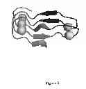 Fig. 07 - Precipitable peptides