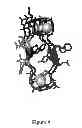 Fig. 08 - Precipitable peptides