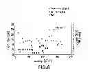 Fig. 07 - Purification of fusion proteins