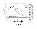 Fig. 08 - Purification of fusion proteins