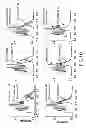 Fig. 11 - Purification of fusion proteins