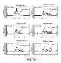 Fig. 17 - Purification of fusion proteins