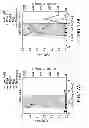 Fig. 18 - Purification of fusion proteins