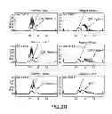 Fig. 21 - Purification of fusion proteins