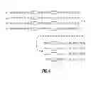 Fig. 09 - ANTI-FGFR3 ANTIBODIES AND METHODS USING SAME