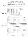 Fig. 11 - ANTI-FGFR3 ANTIBODIES AND METHODS USING SAME