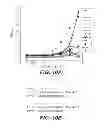 Fig. 16 - ANTI-FGFR3 ANTIBODIES AND METHODS USING SAME
