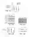 Fig. 18 - ANTI-FGFR3 ANTIBODIES AND METHODS USING SAME