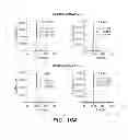 Fig. 26 - ANTI-FGFR3 ANTIBODIES AND METHODS USING SAME
