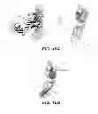 Fig. 29 - ANTI-FGFR3 ANTIBODIES AND METHODS USING SAME