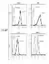 Fig. 34 - ANTI-FGFR3 ANTIBODIES AND METHODS USING SAME