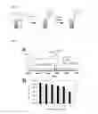 Fig. 02 - Connector compound peptide phage display