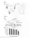 Fig. 07 - Connector compound peptide phage display