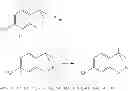 Fig. 131 - MODULATORS OF ATP-BINDING CASSETTE TRANSPORTERS