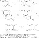 Fig. 136 - MODULATORS OF ATP-BINDING CASSETTE TRANSPORTERS